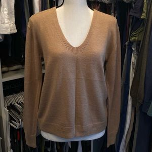 Express V-Neck Sweater